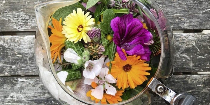 Bowl of anti-viral herbs
